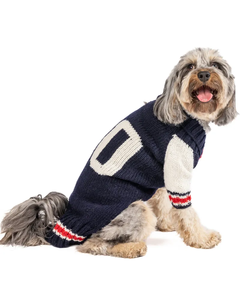 Varsity Wool Dog Sweater